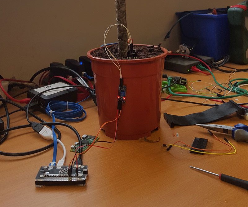 blog image 1